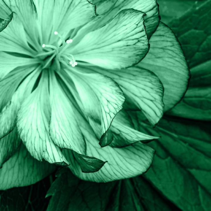 thoughtful piano melody(1499101)