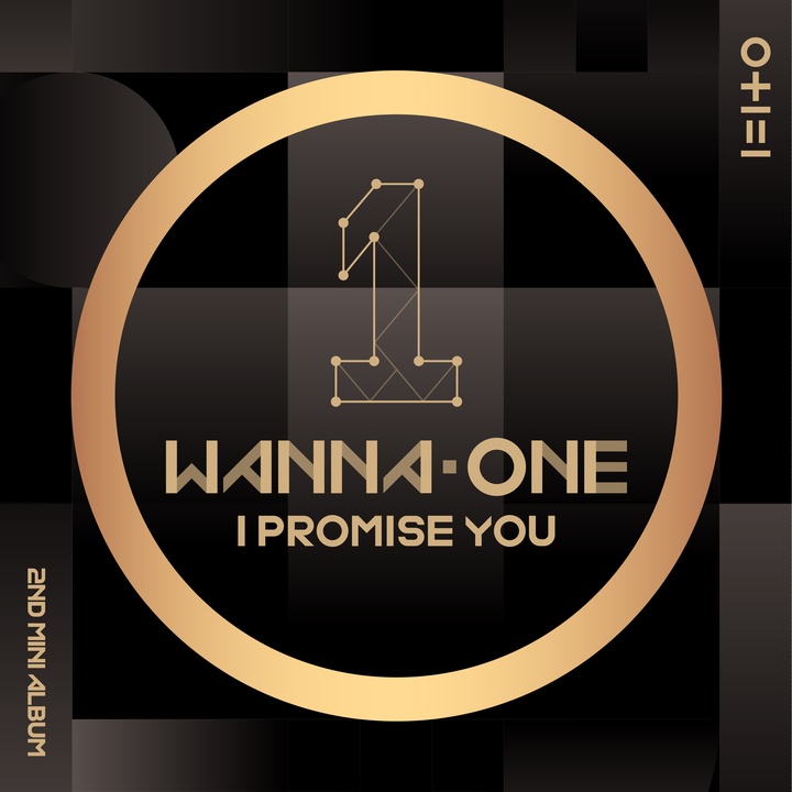 I PROMISE YOU (I.P.U.)