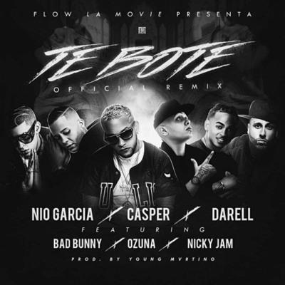 Te Bote Remix