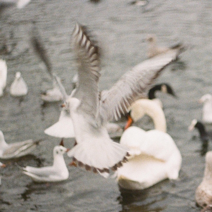 On Possession
