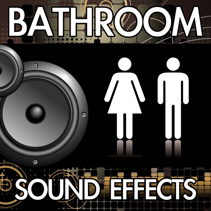 Toilet Flush (Version 7) [Restroom Bathroom Washroom Flushing Noise Clip] [Sound Effect]