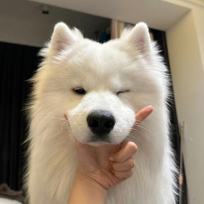 оригинальный звук - kinodog