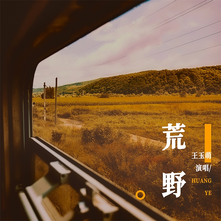 荒野 DJ版伴奏