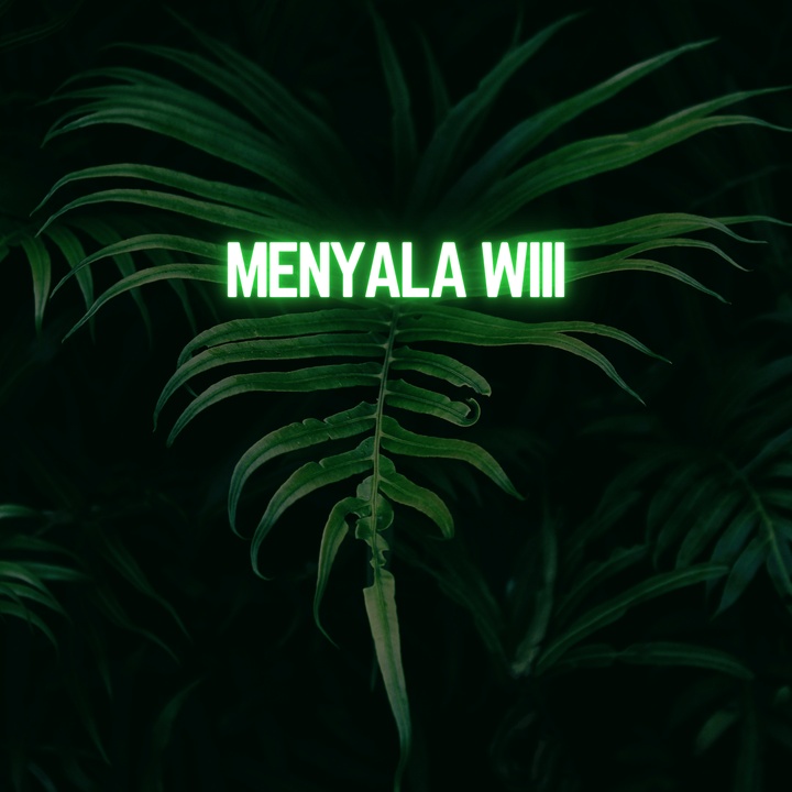 menyala wiii