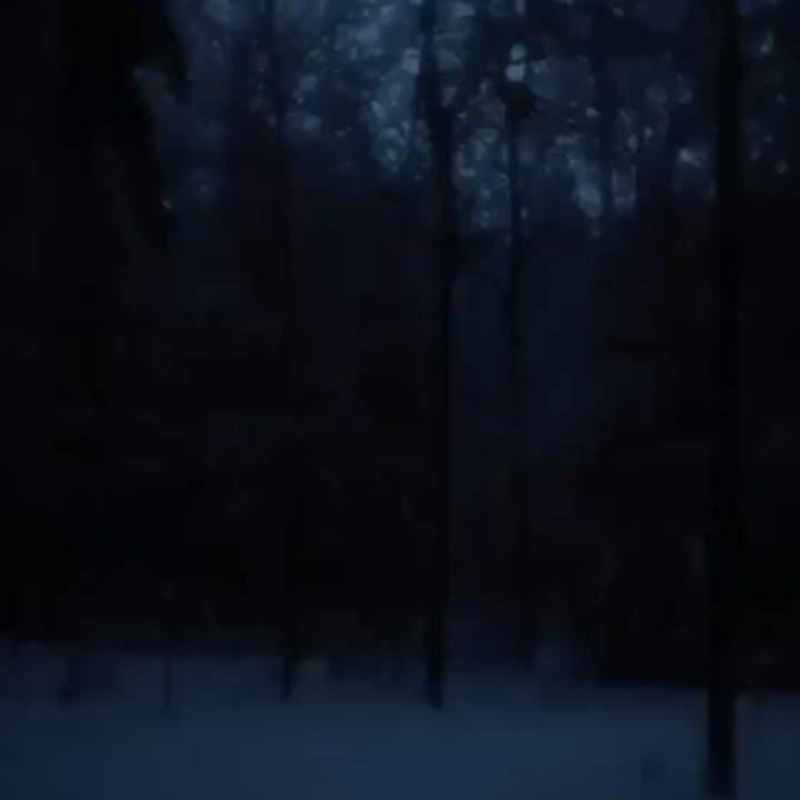 dark snowy night (Slowed & Reverb Version)