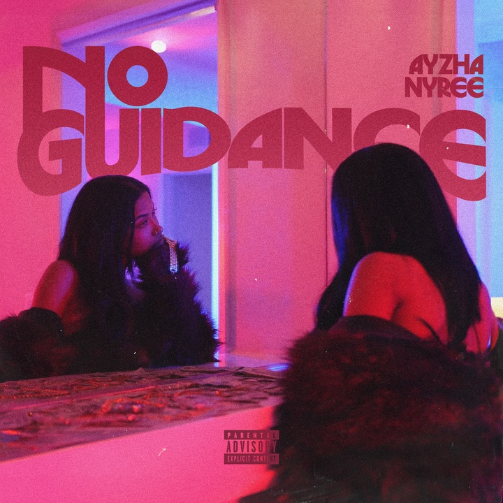 No Guidance