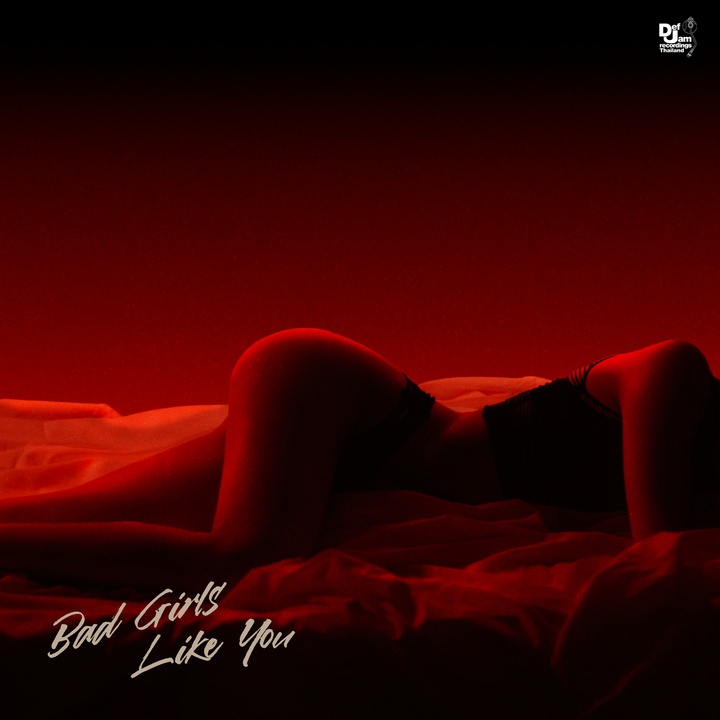Bad Girls Like You - Snippet / Verse 2