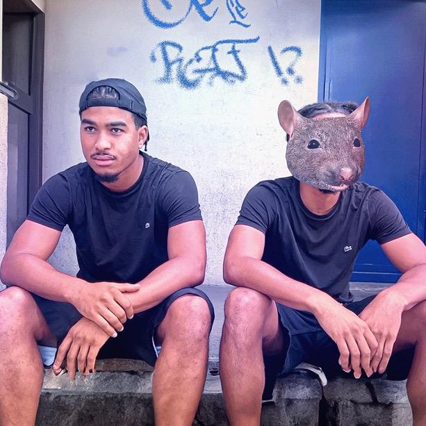 son original - Oé Le Rat !?