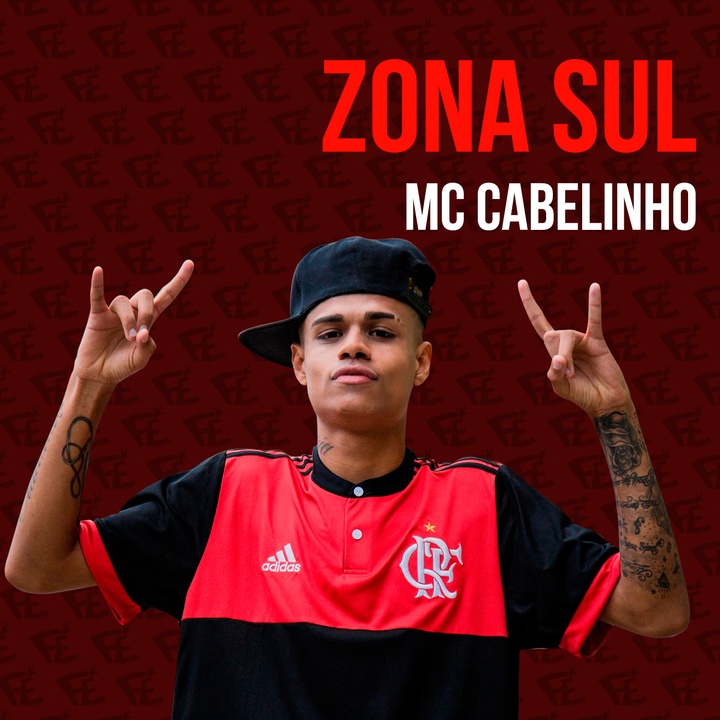 Zona Sul