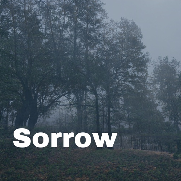 Sad song by piano and violin(886018)