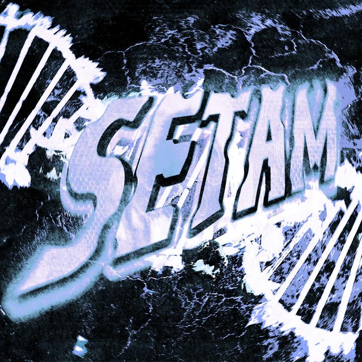 SETAM (Slowed)
