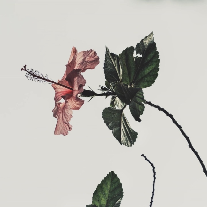 Isn't Easy to Let You Go