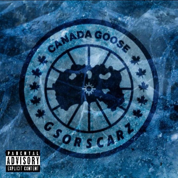 Canada Goose 2.0