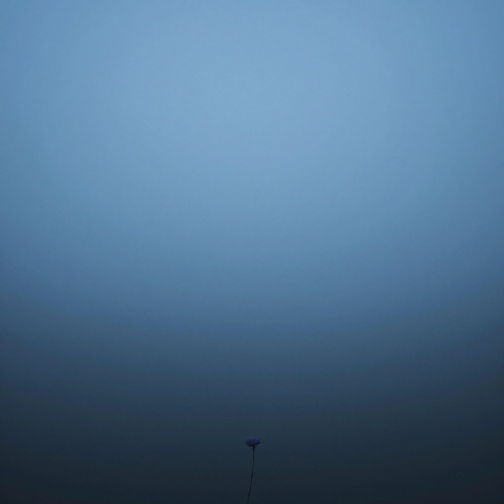 Before the Dawn