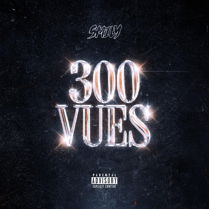 300 vues