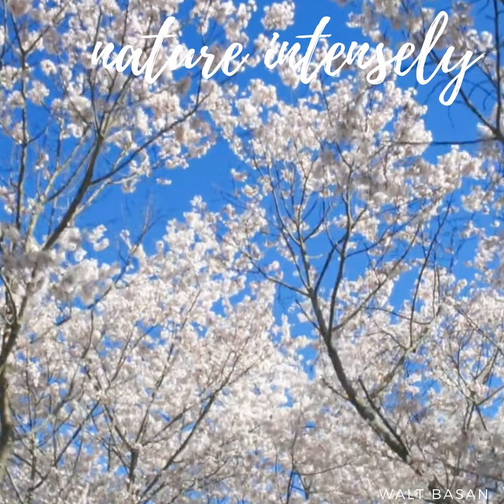 nature intensely