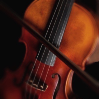 Orchestral Music(793059)