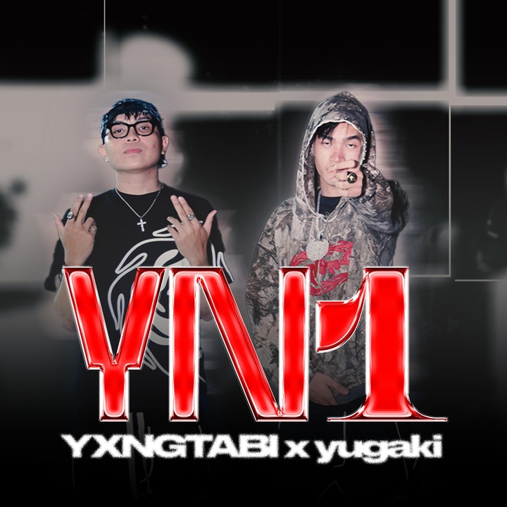 YN1