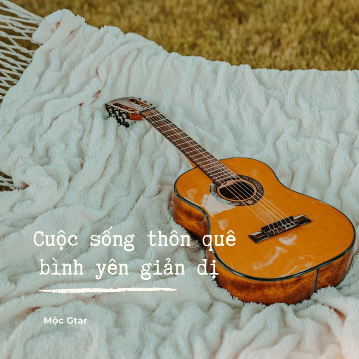 Về quê, gác lại những hoài bão
