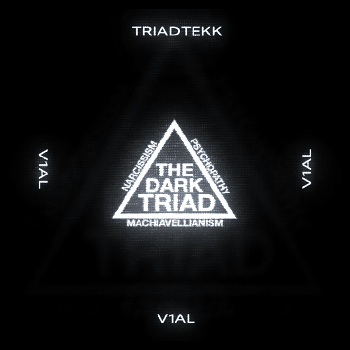 TRIADTEKK - Slowed